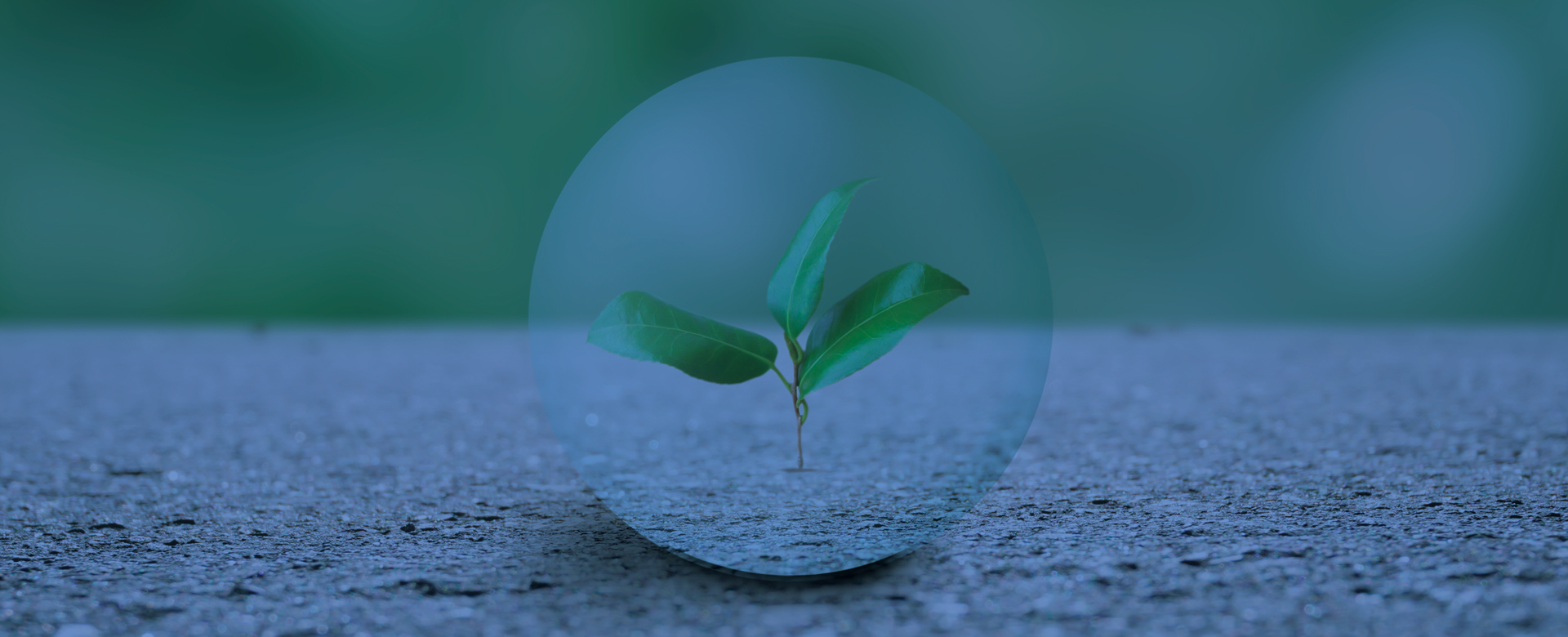 ボトムイメージ