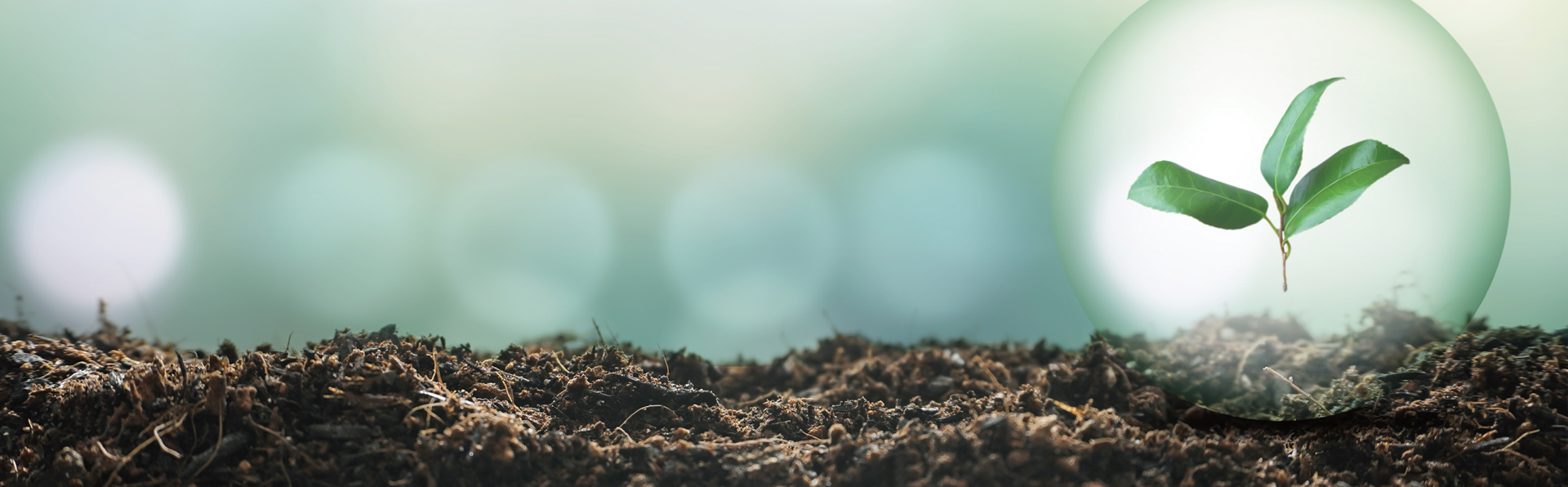 トップイメージ